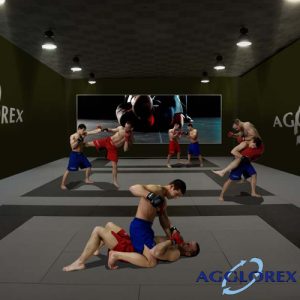 Tatami AGGLOREX MMA 2mx1mx4cm