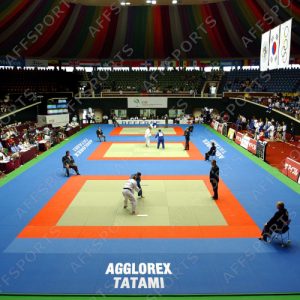 Tatami AGGLOREX Standard 2mx1mx4cm D-230Kg/m3